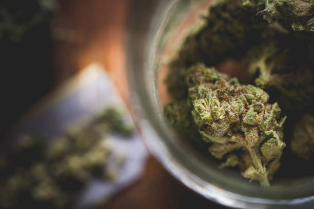 Legalization of Medical Cannabis